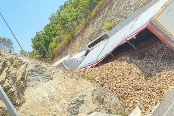 Il carico di legname sulla strada (foto Secci)