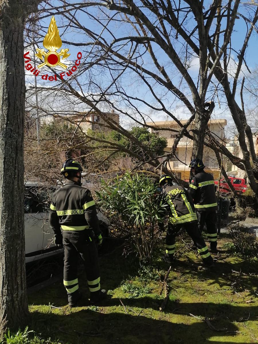 Operaio dell’Anas ferito a Galtellì: colpito alla testa da un albero sulla statale 129
