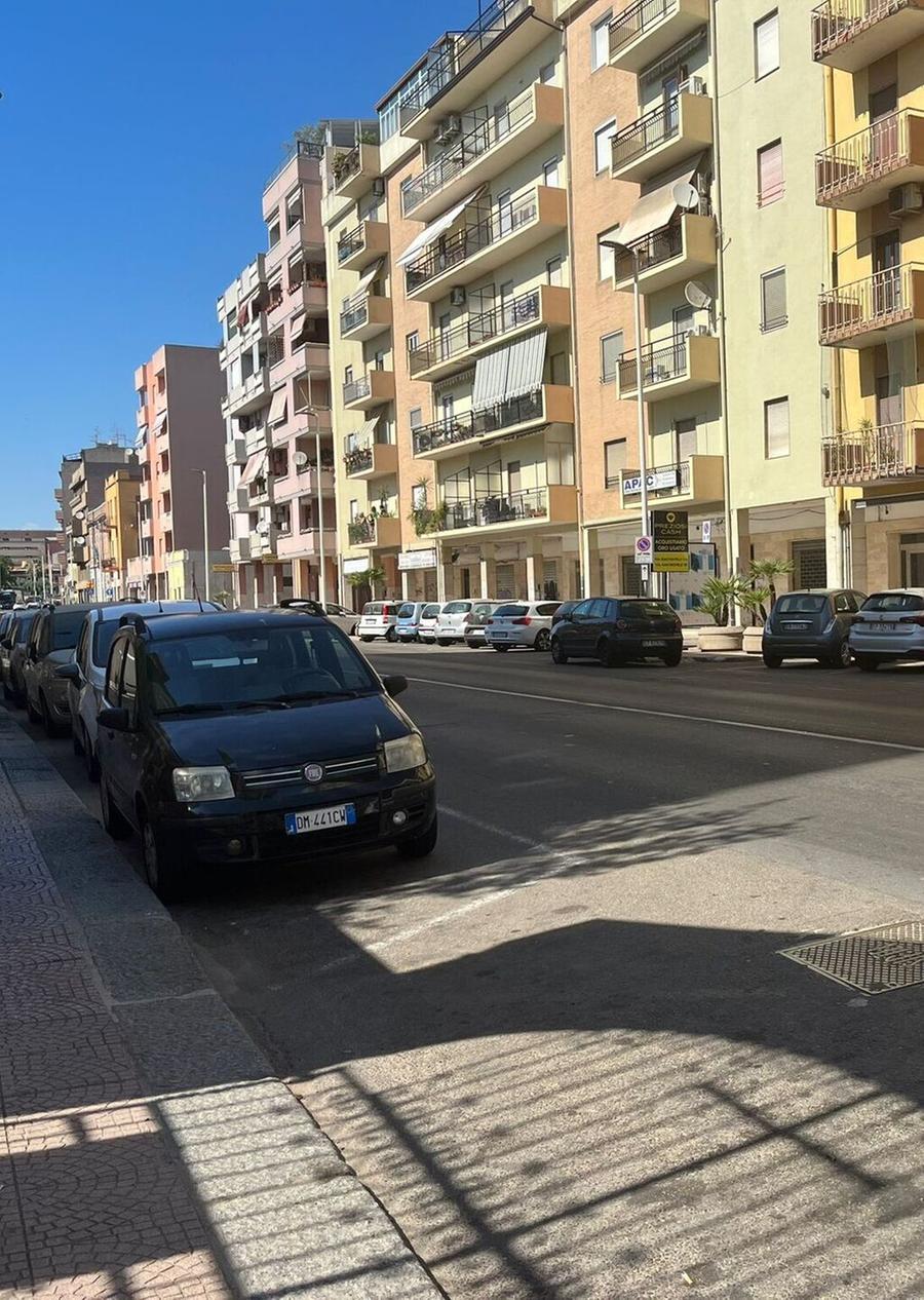 Emergenza topi e blatte, proteste a Sant’Avendrace