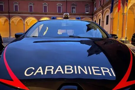 Un'operazione dei carabinieri (Ansa)