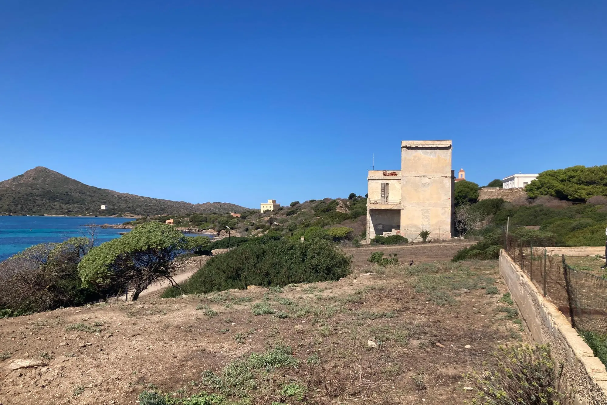 Asinara - Cala Reale (foto Pala)