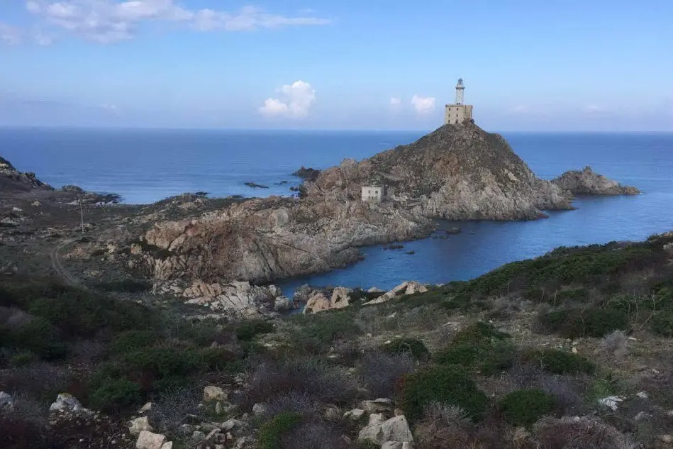Uno scorcio dell'Isola dell'Asinara