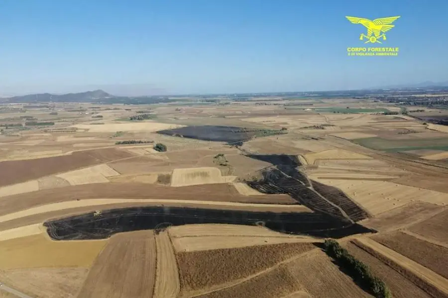 I danni a Su Pranu (foto Corpo forestale)