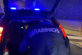 Carabinieri (Ansa)