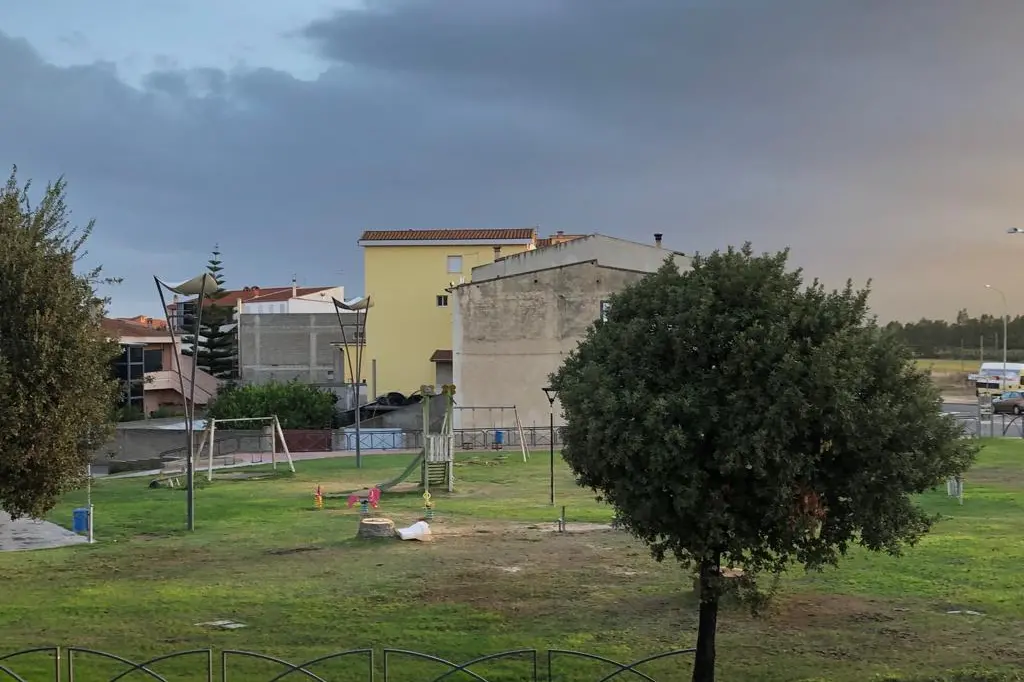 Un'area verde di Terralba (L'Unione Sarda - Pinna)