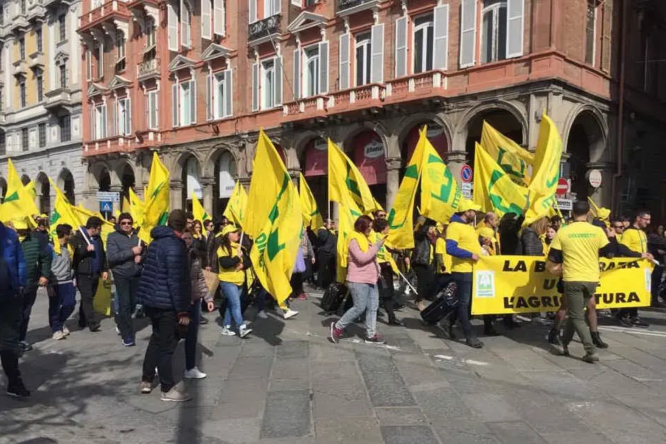 La manifestazione di Coldiretti a Cagliari
