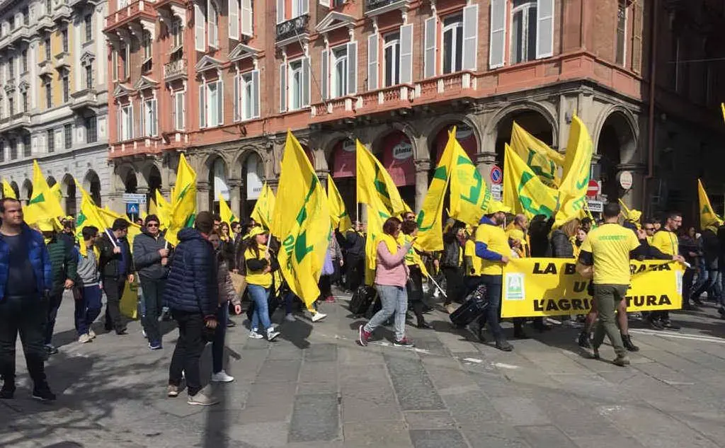 La manifestazione di Coldiretti a Cagliari