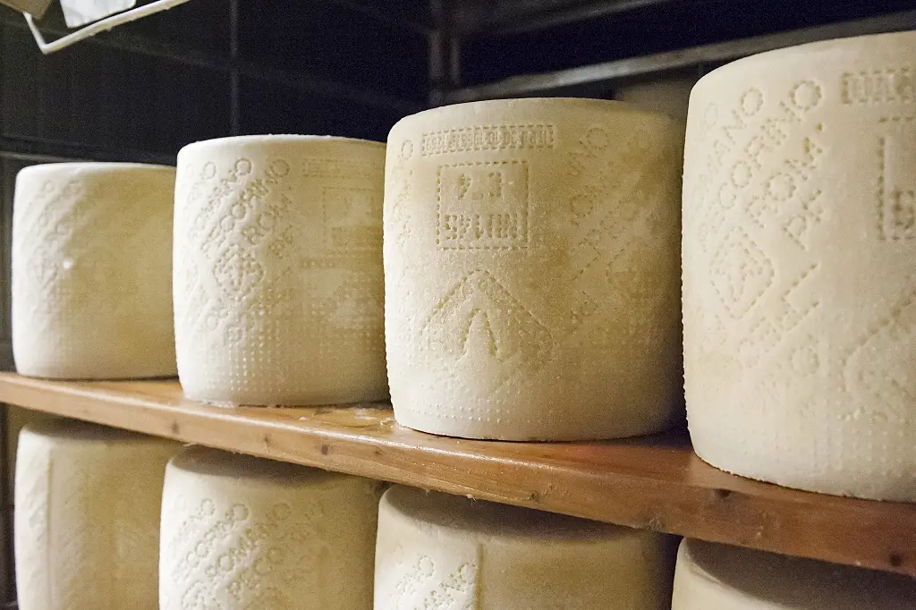 Pecorino romano (archivio L'Unione Sarda)