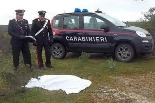 Il ritrovamento del cane morto