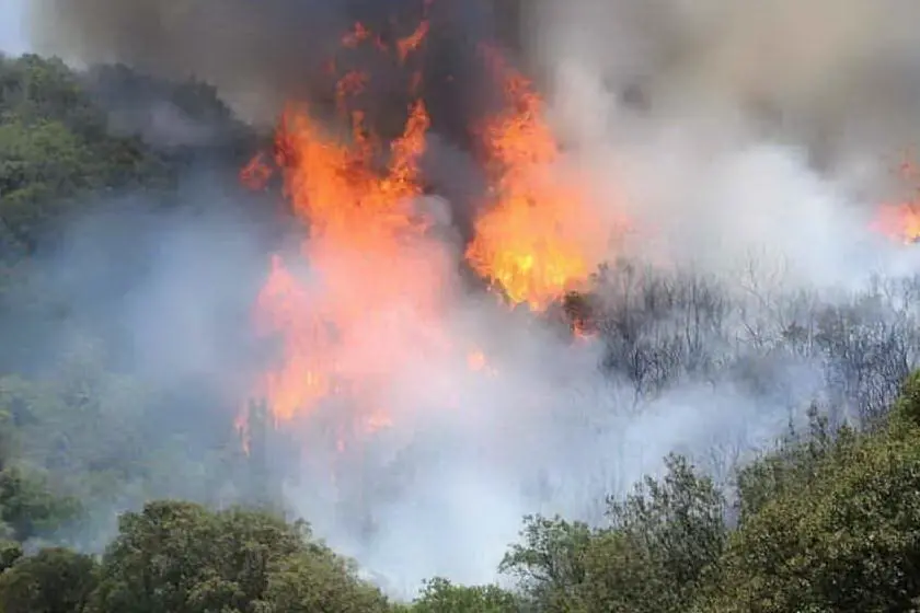Un incendio nell'Isola (Archivio L'Unione Sarda)