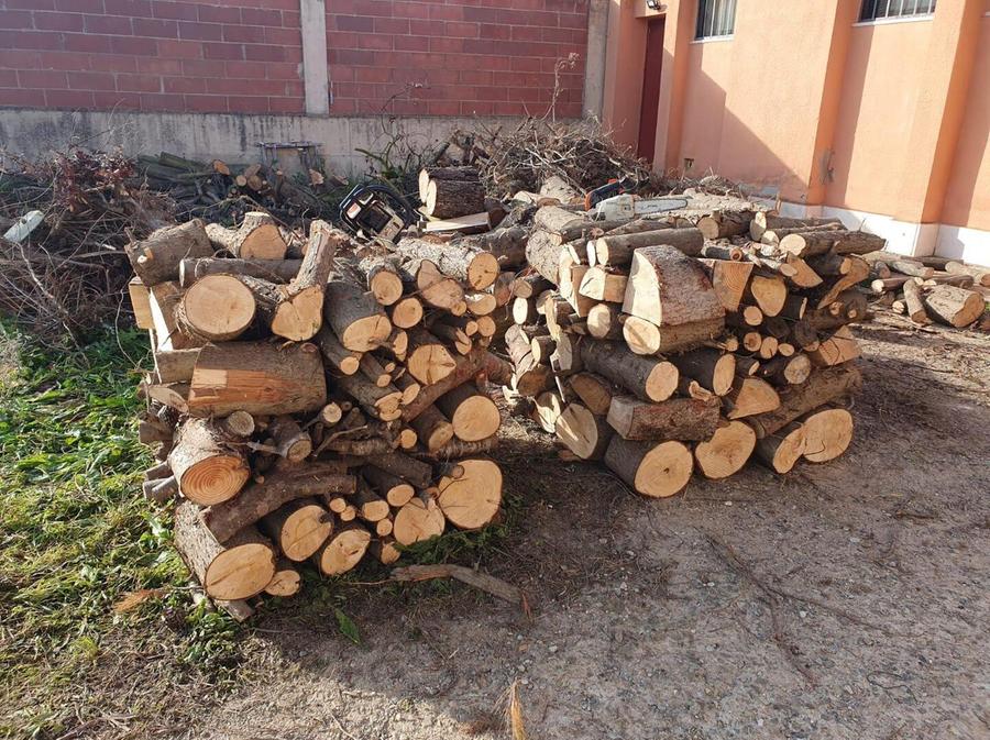 Il Comune regala legna da ardere