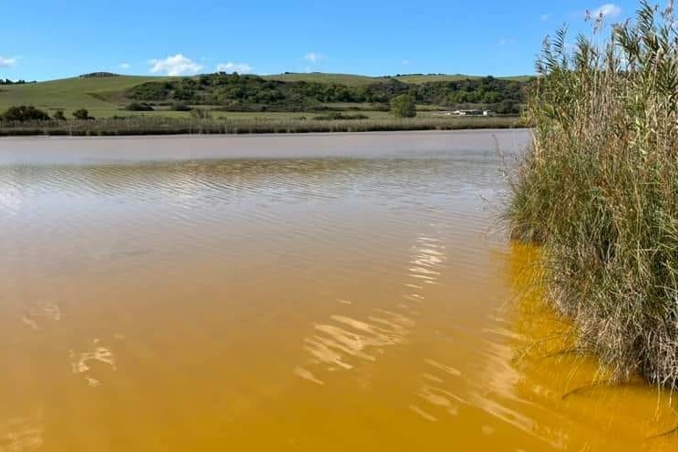 Sorso, allarme ambientale: acque gialle nello stagno di Platamona (foto Tellini)