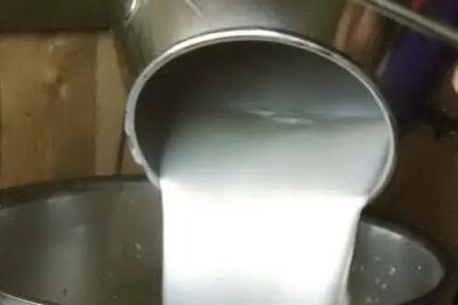 Latte