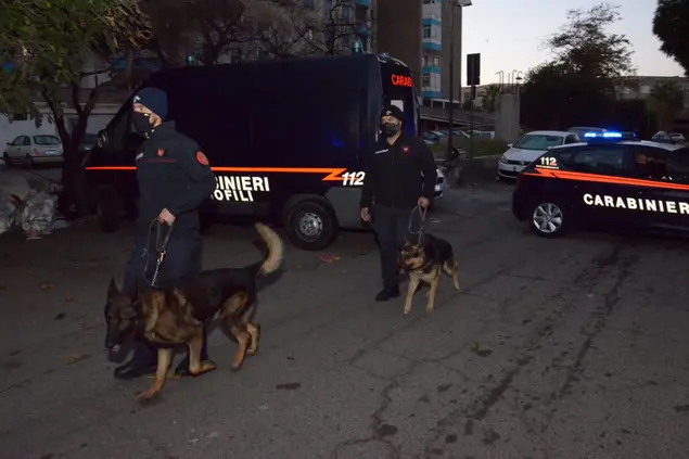 Squadre cinofile (foto carabinieri)