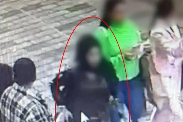 La donna kamikaze ritenuta all'origine dell'attentato a Istanbul che ha provocato almeno sei morti e 81 feriti (Ansa)