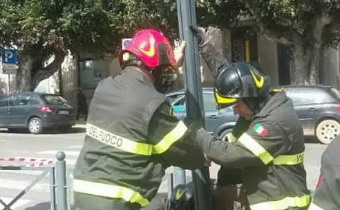 L'intervento intorno alle 12