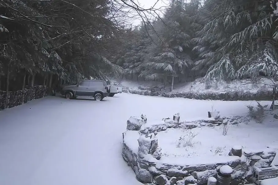 La neve a Separadorgiu, Fonni (foto dalla webcam Baku Meteo)