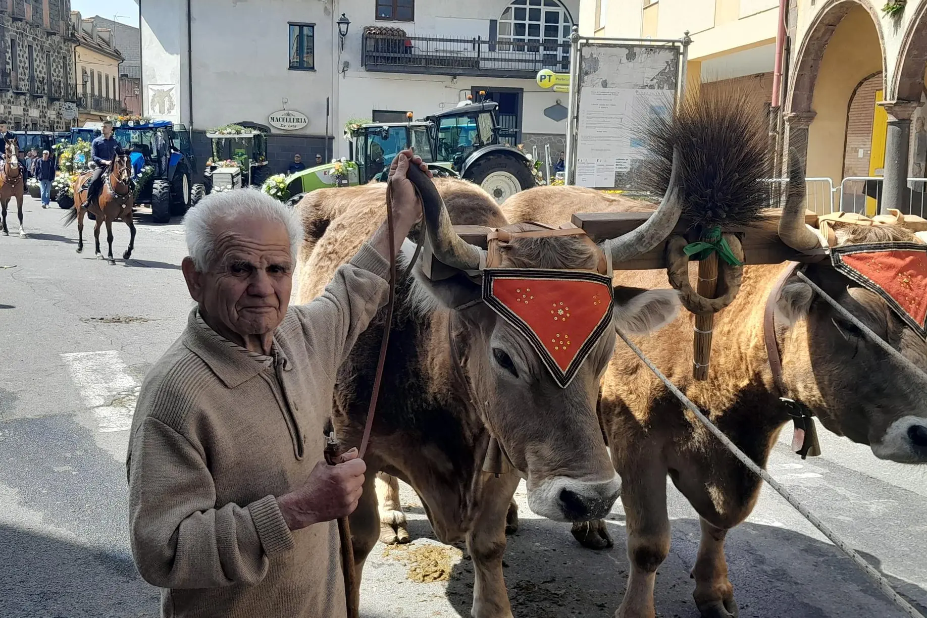 Andrea Porcu, 93 anni, uno dei decani degli allevatori ghilarzesi (foto Corrias)