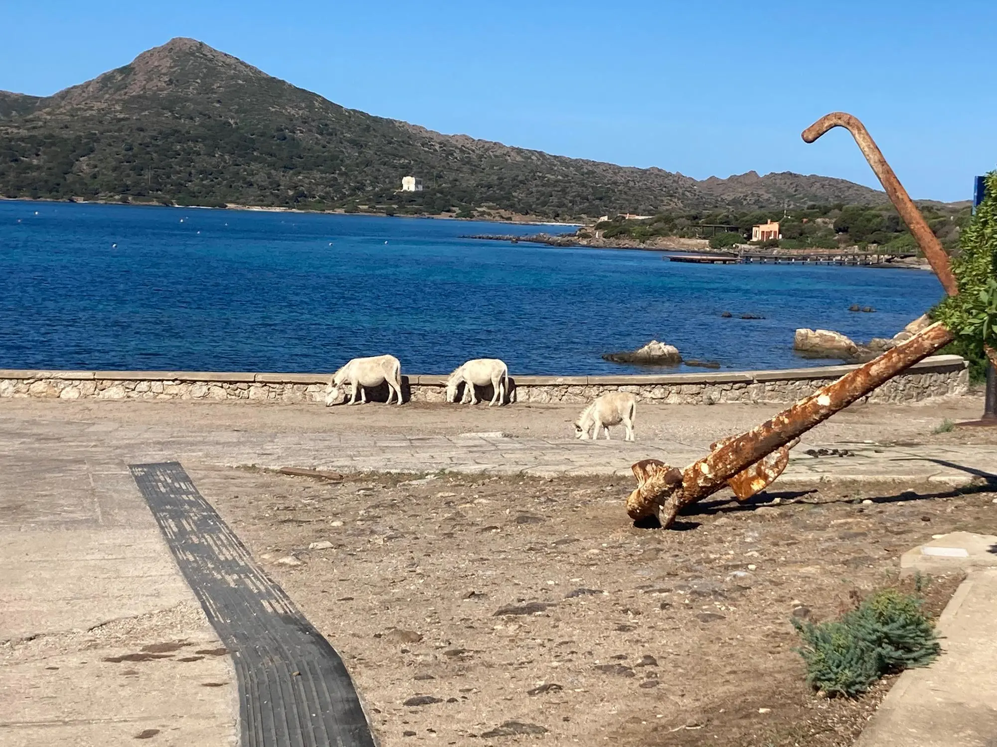 A Solanas via alla festa di San Giuseppe