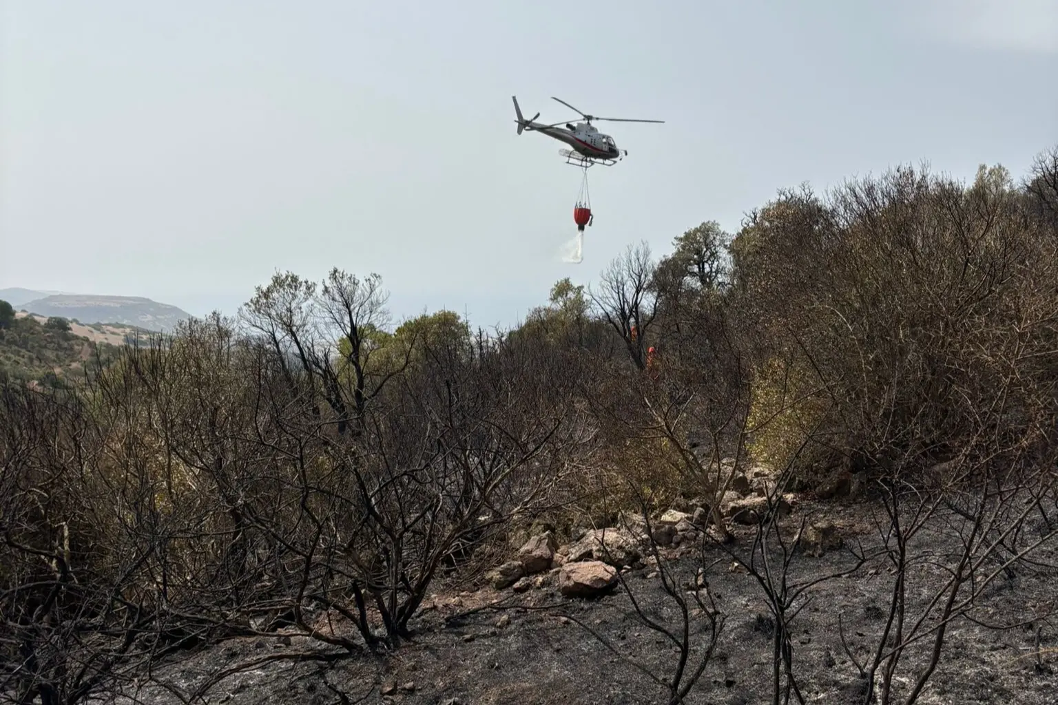 Incendi Bosa 27-28 agosto 2025