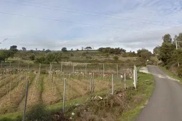 Le campagne di Ula Tirso (foto da Google Maps)