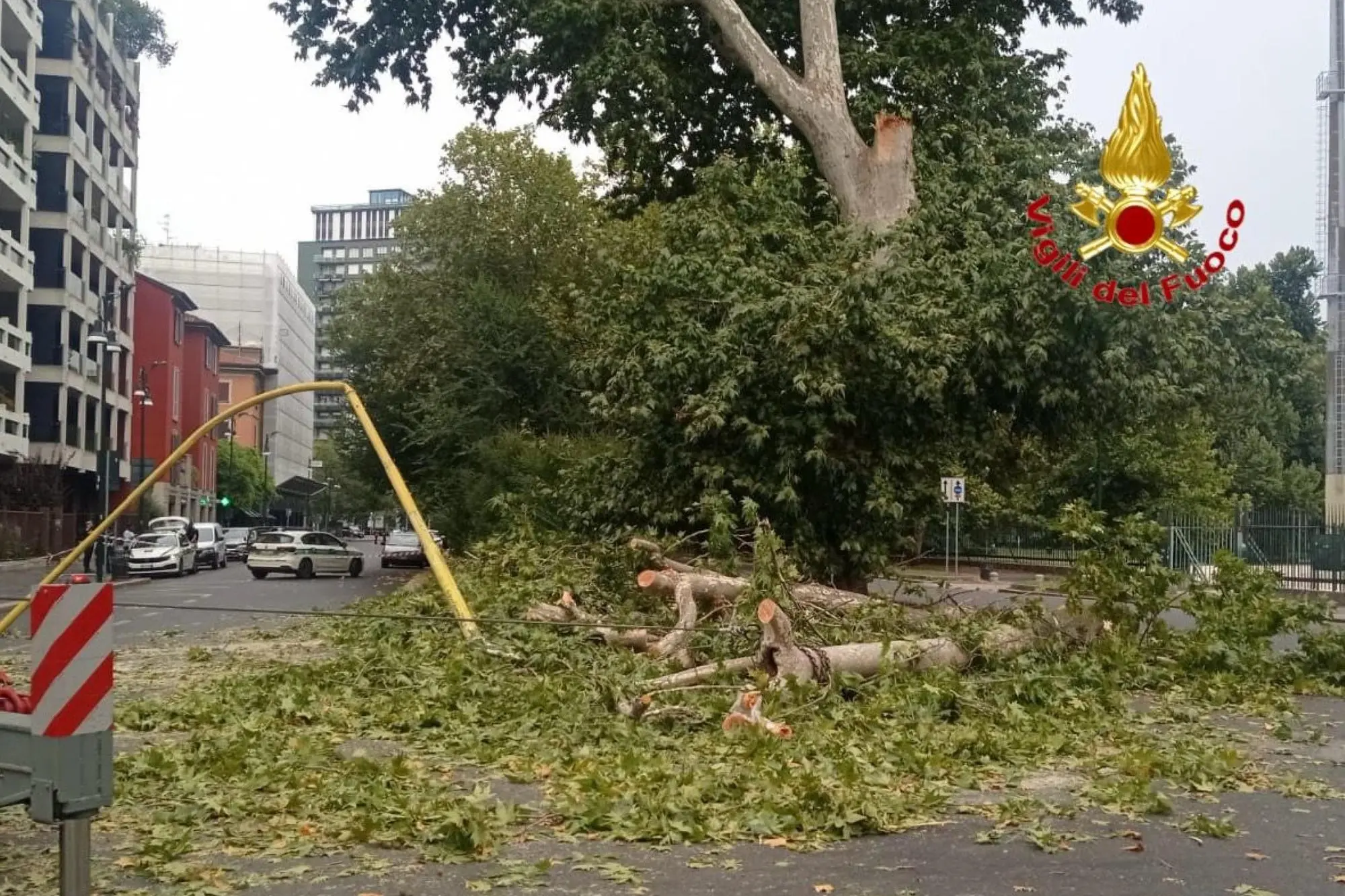 Un grosso ramo crollato a Milano in viale Elvezia (foto vigili del fuoco)