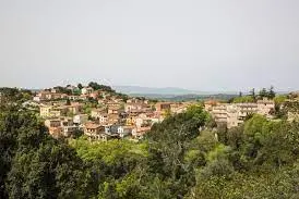 Laconi