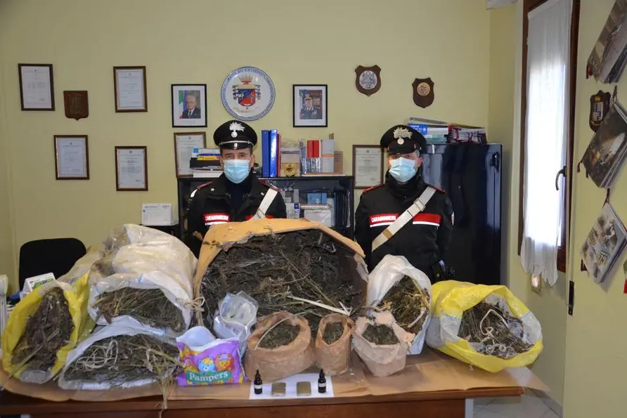 La droga sequestrata (foto carabinieri)