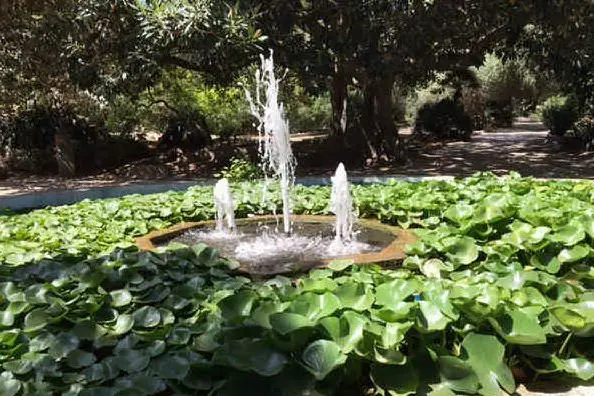 Una fontana dell'Orto botanico di Cagliari