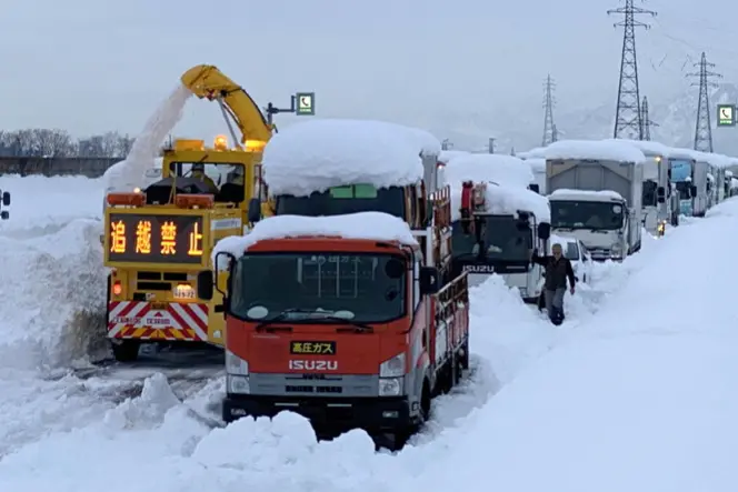 Immagine simbolo (Ansa)