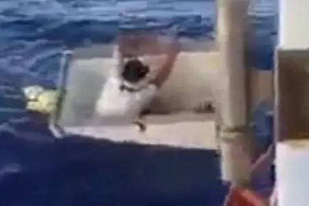 Un frame del video del salvataggio, girato dai soccorritori