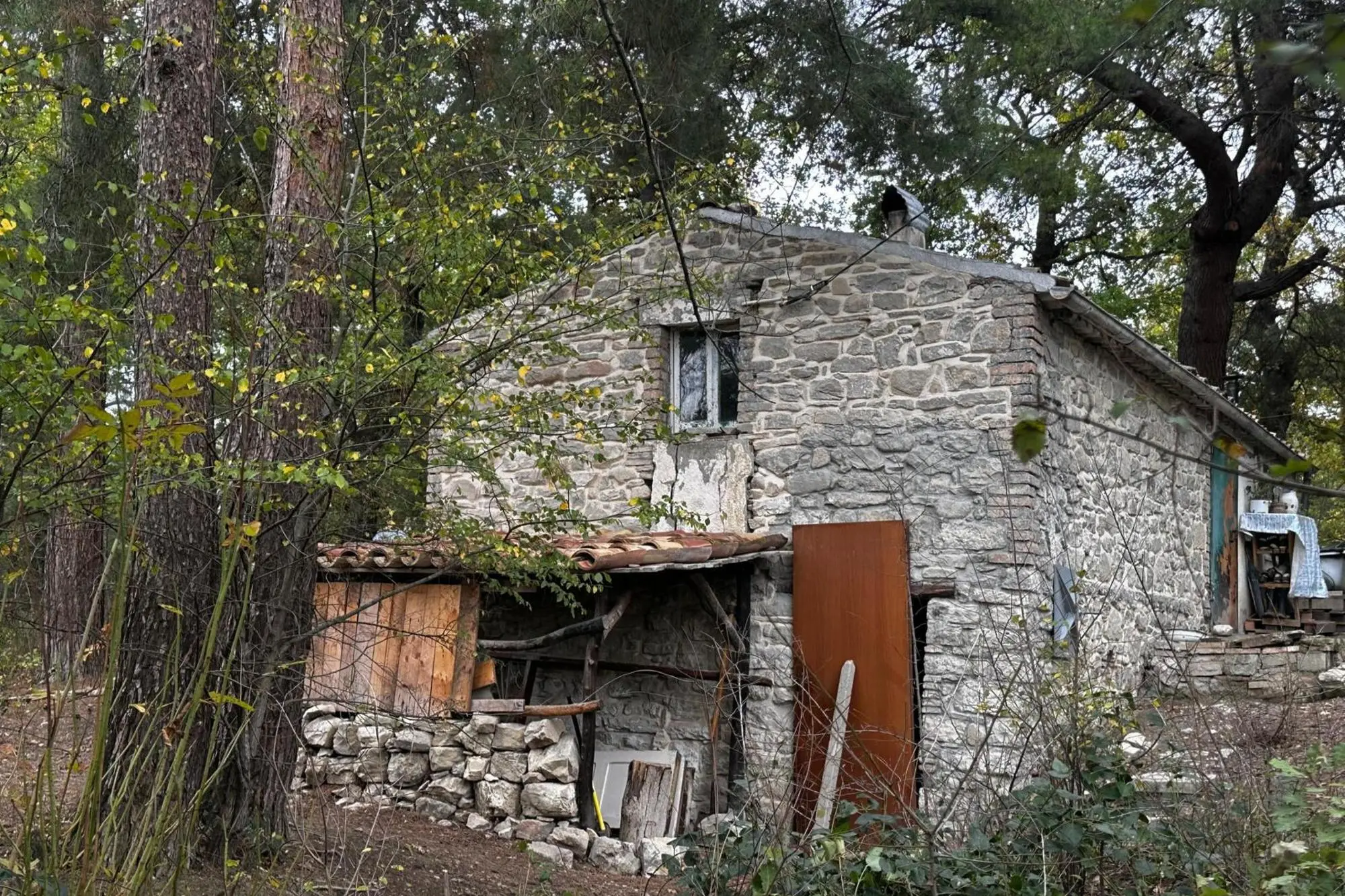 La casa nel bosco a Palmoli dove vivono Nathan Trevallion e Catherine Birmingham (Ansa)