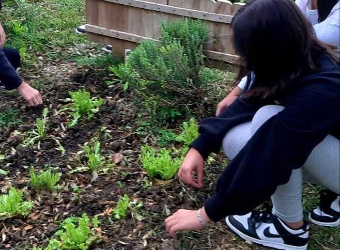 Piccoli alunni a lezione di agricoltura