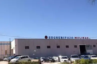 L'azienda dove si produce sughero