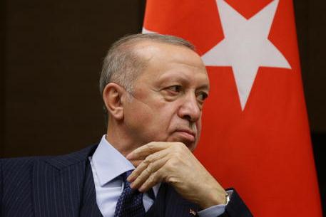Cita proverbio in tv: “È un insulto a Erdogan”, giornalista in cella