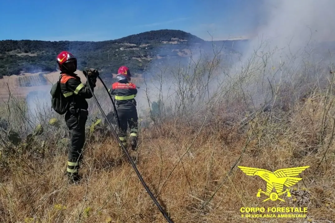 Un intervento dei giorni scorsi (foto Corpo forestale)