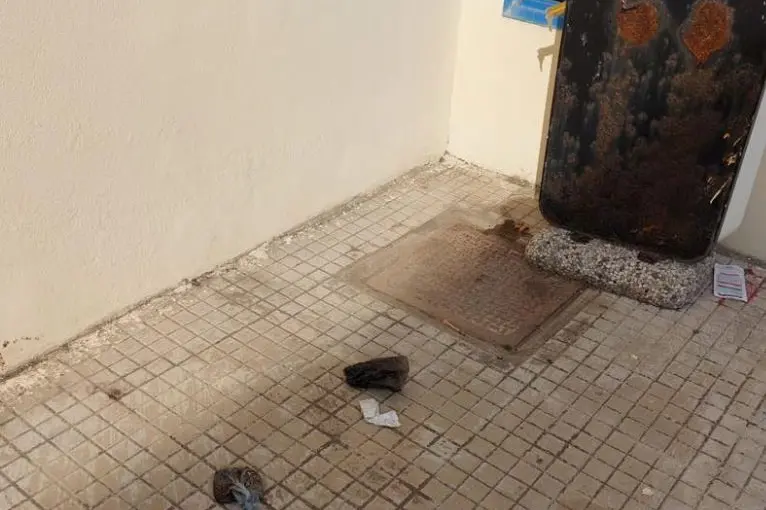 Siringhe usate in prossimità delle scuole (foto L'Unione Sarda - Pala)