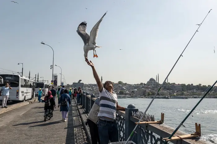 epa09974945 An angler man feeds a seagull on the Galata bridge backdropped by the Suleymaniye mosque in Istanbul, Turkey, 25 May 2022. EPA/ERDEM SAHIN