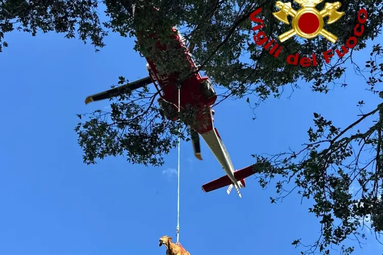 L'intervento di soccorso a Banari