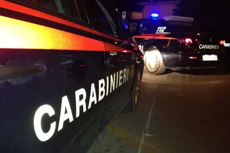 Intervento dei carabinieri (Ansa)