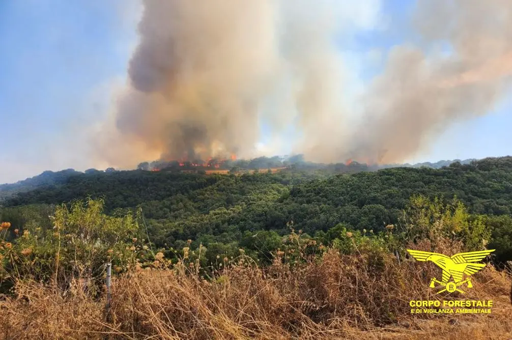 L'incendio nelle campagne di Ales (foto Corpo forestale)