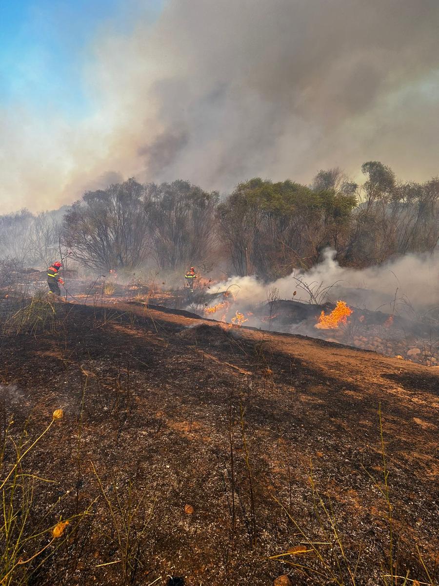 Con i trattori per fermare il fuoco, paura a Viddalba: due incendi in 48 ore in Gallura