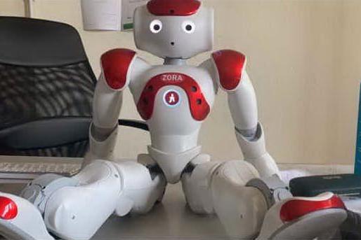 Un robot come personal trainer per gli anziani: il progetto dell'Università di Cagliari