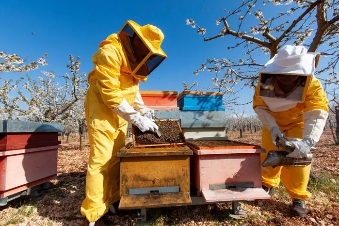 Pasqua: la transumanza delle api miele tornareccio