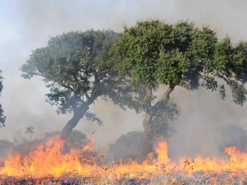Le fiamme aggrediscono anche la provincia di Oristano