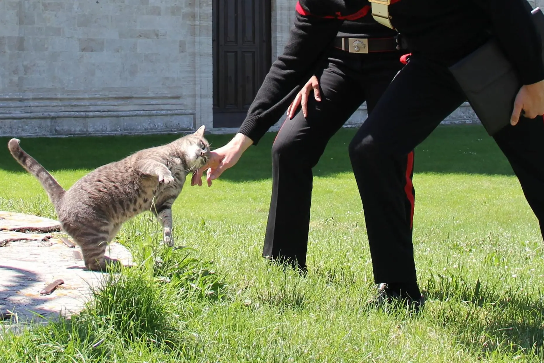 Carabinieri e un gatto (foto concessa)