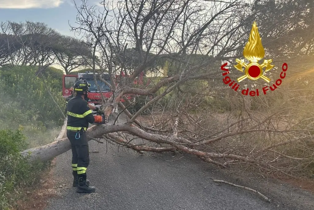 L'intervento dei vigili ad Arborea