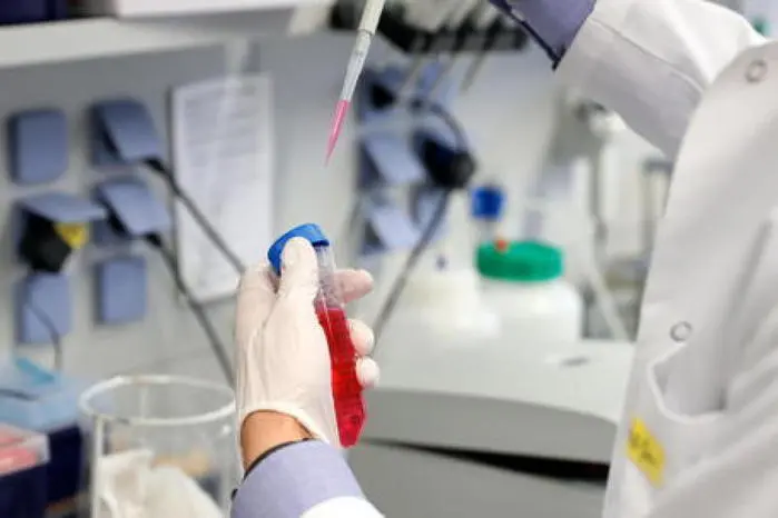 Un laboratorio (Ansa)