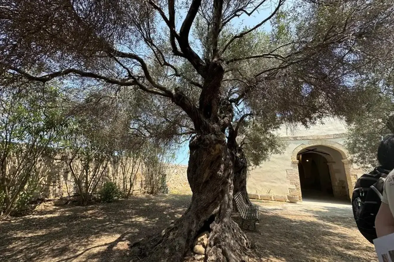 La chiesetta