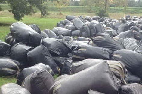 Raccolta differenziata, a Dolianova proibiti i sacchi neri per la spazzatura